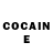 COCAIN Fish Scale Akzhan Beauty