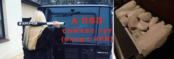 СК Балахна