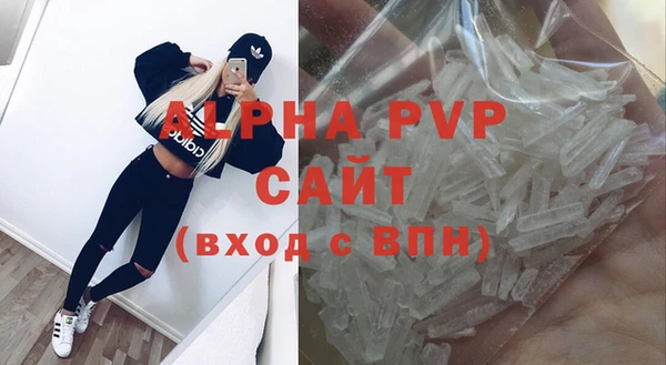 СК Балахна